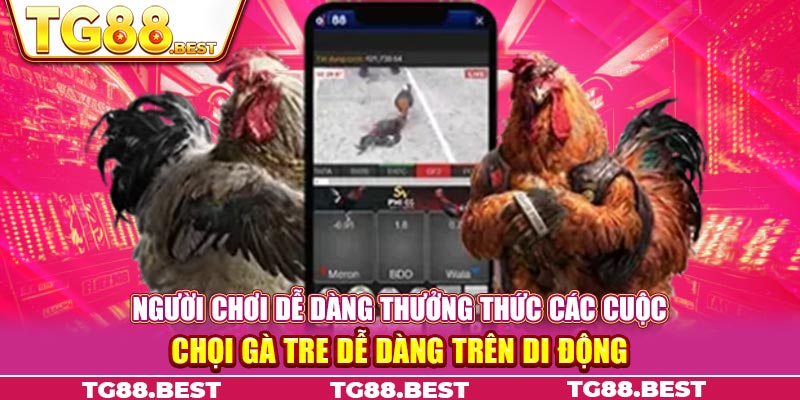 Người chơi dễ dàng thưởng thức các cuộc chọi gà tre dễ dàng trên di động