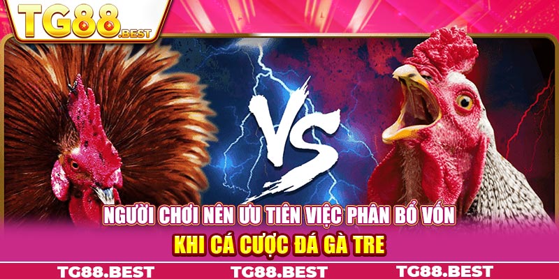 Người chơi nên ưu tiên việc phân bổ vốn khi cá cược đá gà tre