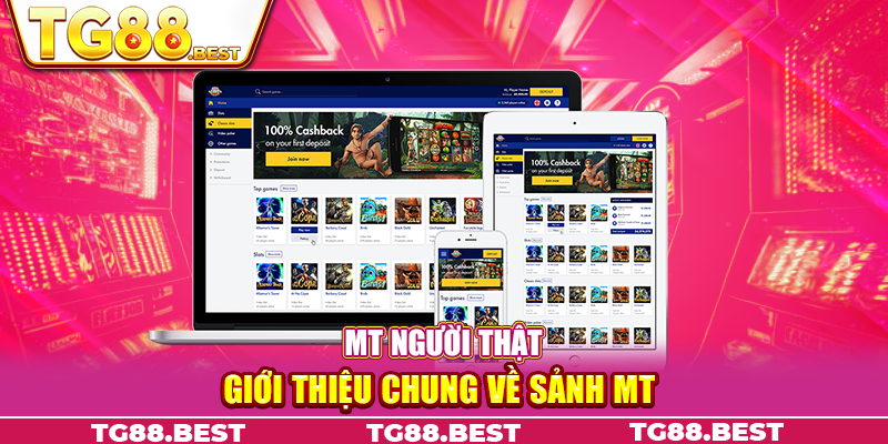 Giới thiệu chung về sảnh MT