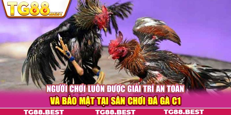 Người chơi luôn được giải trí an toàn và bảo mật tại sân chơi đá gà C1